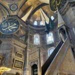 180835C6-BA78-4C6E-B156-113316E29E13