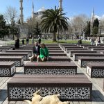 EB911E0B-397A-4744-B2DE-61848E0B1EEC