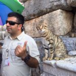 mmexport1543214476341