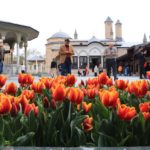 mmexport1573561397781