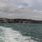 144432868_420564605842737_3977619980453280763_n