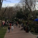 148156088_873930483172253_8130439966908116315_n