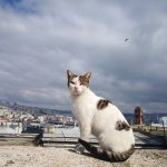 155255846_2784505928485493_6643050781025165933_n