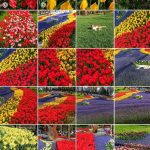 178017179_791390025092070_5274482655156663579_n